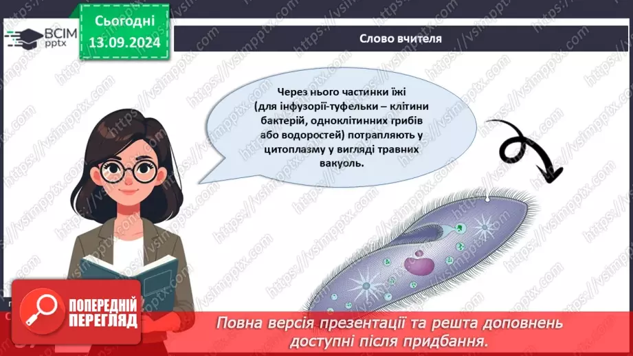 №12 - Які особливості оргнанізації клітин одноклітинних евкаріотів?10