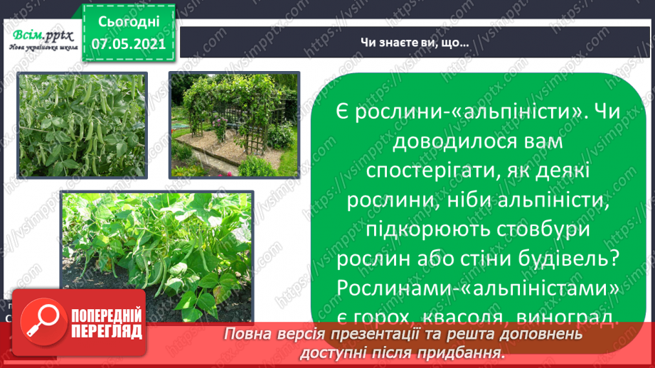 №040 - Пристосування квіткових рослин до різних умов життя20 №040 - Пристосування квіткових рослин до різних умов життя20