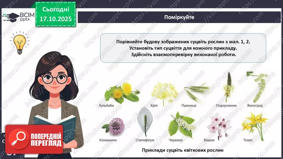 №025 - Покритонасінні рослини: пристосування до життя на суходолі, суцвіття, запилення й запліднення.12 №025 - Покритонасінні рослини: пристосування до життя на суходолі, суцвіття, запилення й запліднення.12