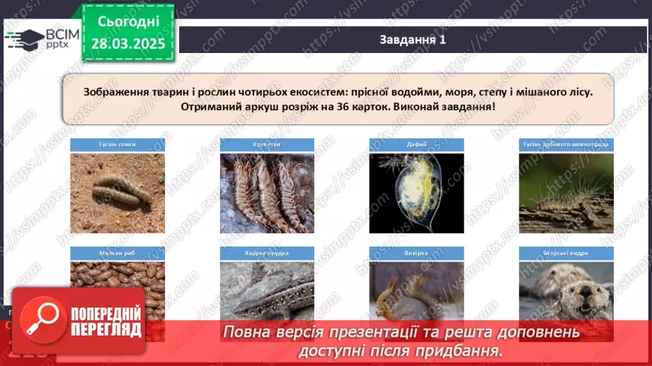 №73 - Узагальнювальні дослідницькі завдання.11