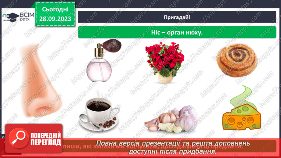 №017 - Органи чуття. Узагальнення8