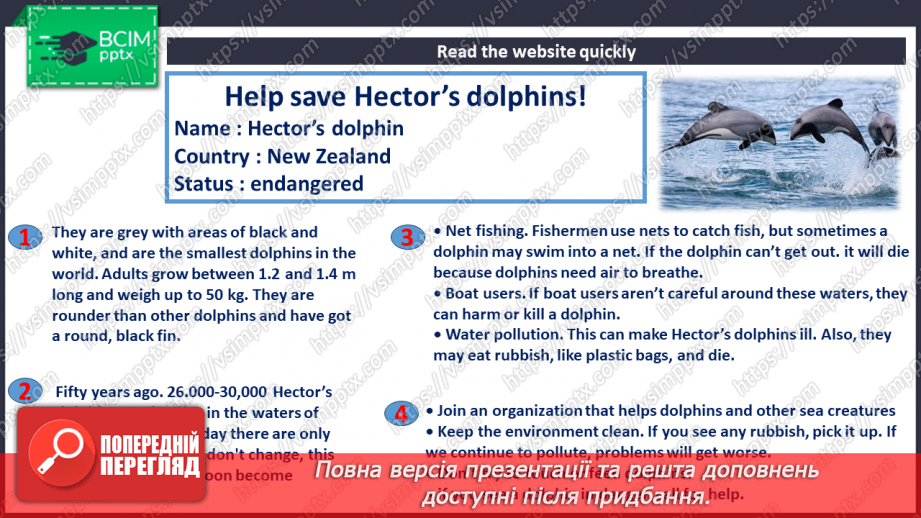 №063 - Animals8 №063 - Animals8