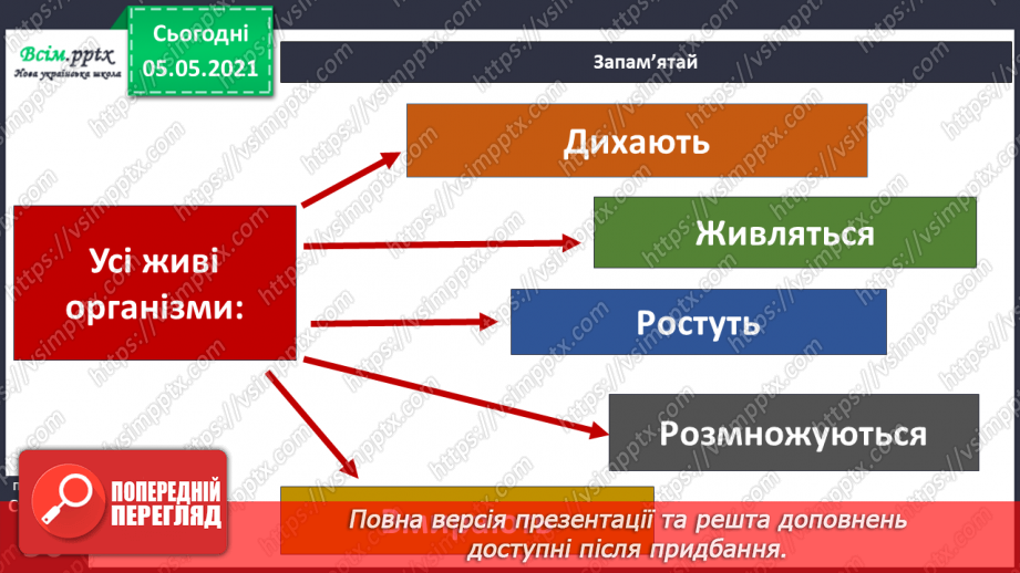 №030 - Рослини. Будова рослин12 №030 - Рослини. Будова рослин12