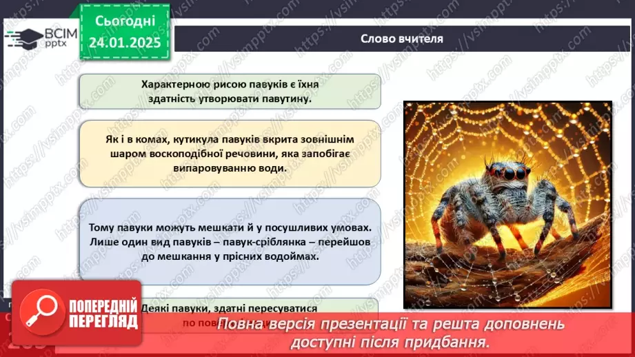 №58 - Павукоподібні.13