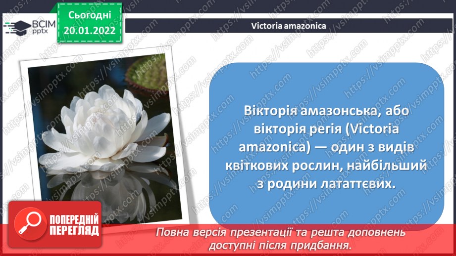 №20 - Інструктаж з БЖ.   Проєкт «Водяна красуня»3 №20 - Інструктаж з БЖ.   Проєкт «Водяна красуня»3