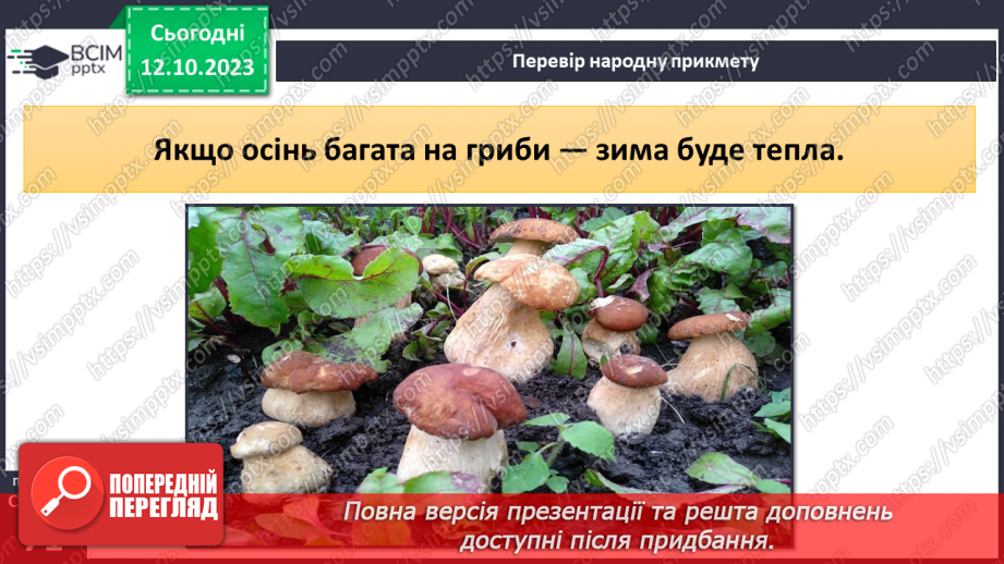 №024 - Осінь - грибна пора23 №024 - Осінь - грибна пора23