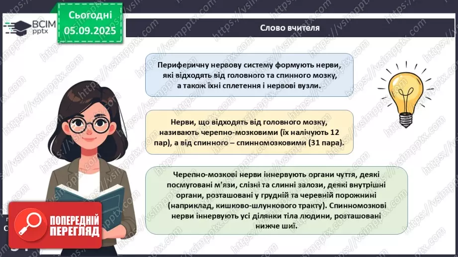 №008 - Будова нервової системи17 №008 - Будова нервової системи17