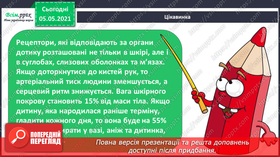 №087 - Орган дотику.24