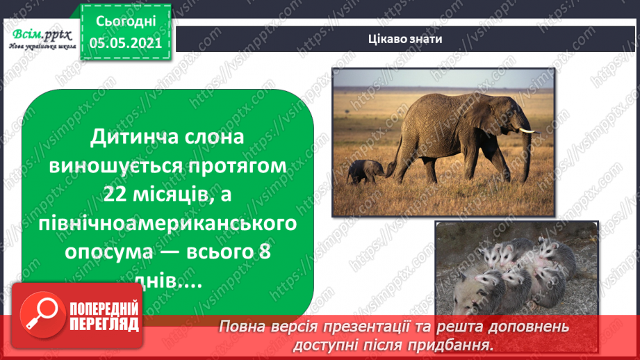 №039 - Звірі.33 №039 - Звірі.33