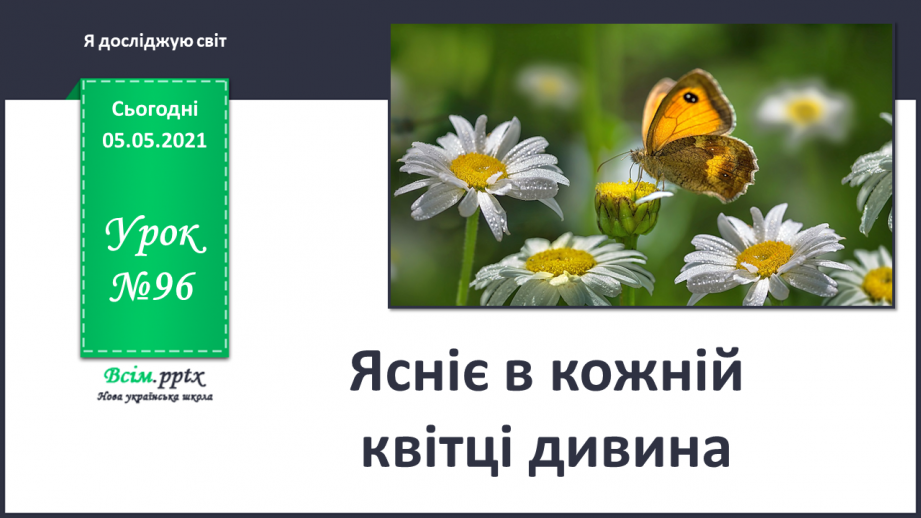 №096 - Ясніє в кожній квітці дивина.0 №096 - Ясніє в кожній квітці дивина.0