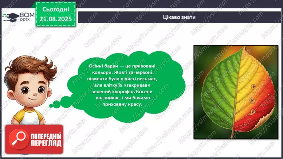 №01 - Створюємо аплікацію із сухого листя за власним задумом.23 №01 - Створюємо аплікацію із сухого листя за власним задумом.23