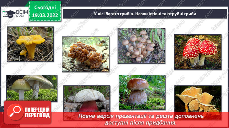 №078 - Природні зони України. Мішані та широколисті ліси.16 №078 - Природні зони України. Мішані та широколисті ліси.16