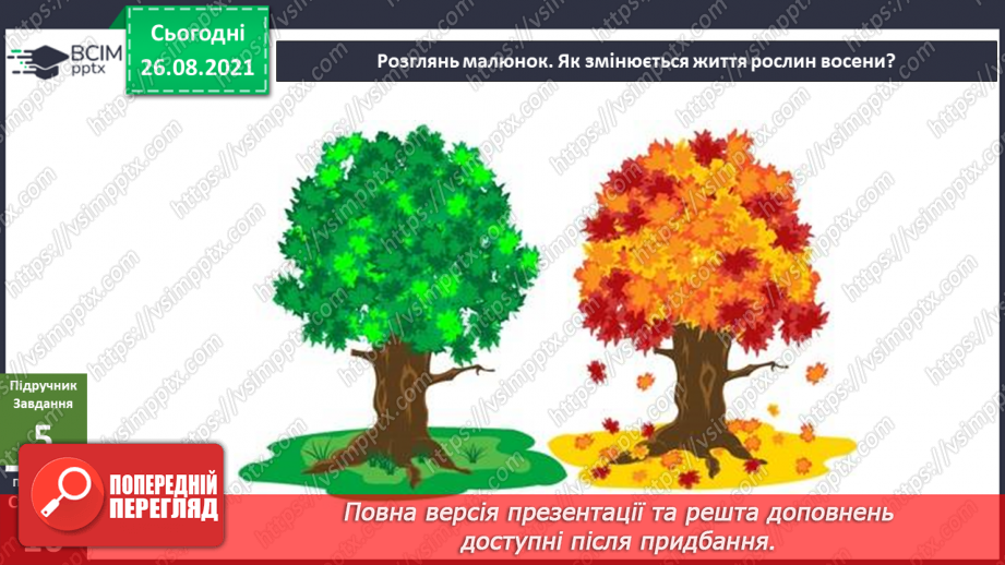 №006 - Які причини змін у природі восени?13