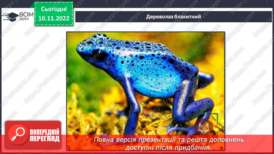 №038 - Риби, земноводні та плазуни.17 №038 - Риби, земноводні та плазуни.17