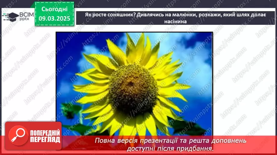 №076 - Як росте і розвивається рослина з насінини. ст.67-6930
