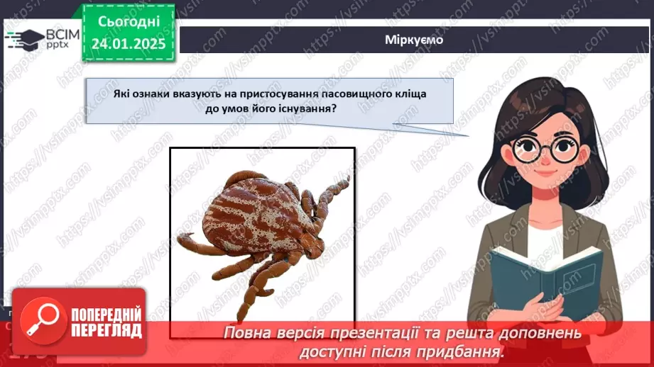 №55 - Павукоподібні.19 №55 - Павукоподібні.19