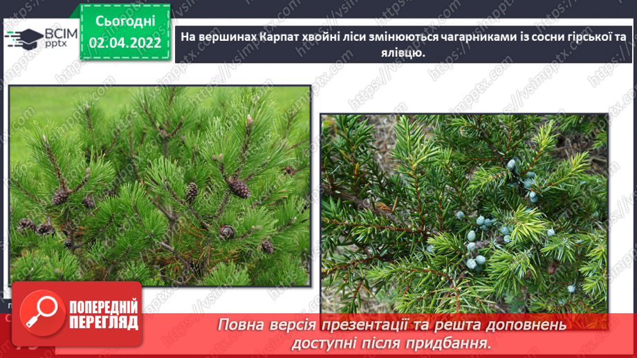 №082 - Українські Карпати12 №082 - Українські Карпати12