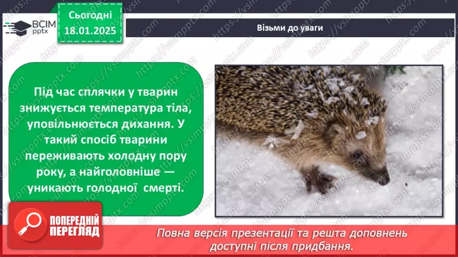 №0056 - Як зимують птахи та звірі14 №0056 - Як зимують птахи та звірі14