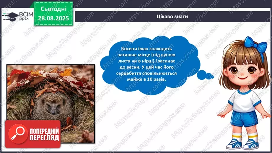 №02 - Робота із природним матеріалом. Виготовлення їжачка.16 №02 - Робота із природним матеріалом. Виготовлення їжачка.16
