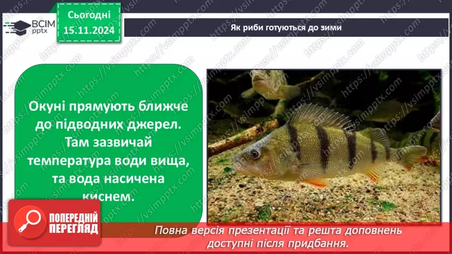 №0035 - Як риби готуються до зими9 №0035 - Як риби готуються до зими9