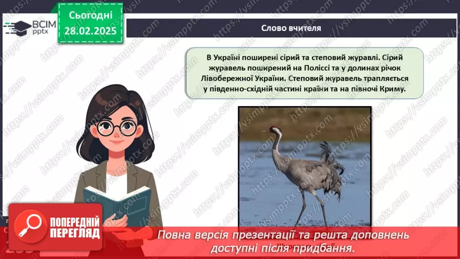 №65 - Різноманітність птахів.11