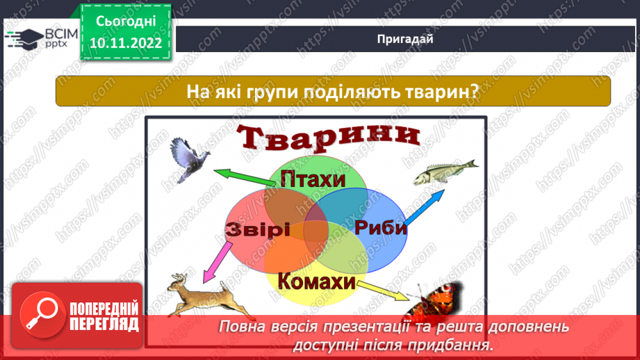 №037 - Як класифікують тварин. Властивості ссавців і птахів.5 №037 - Як класифікують тварин. Властивості ссавців і птахів.5