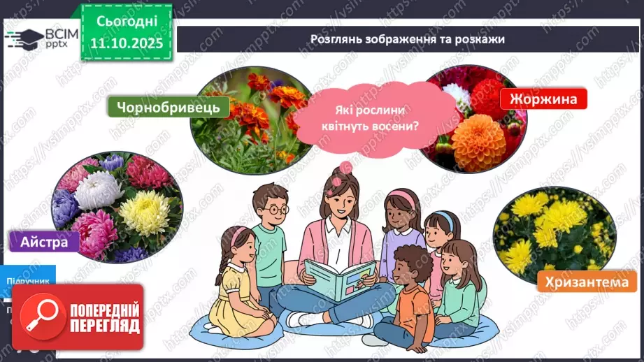 №024 - Рослини восени.17 №024 - Рослини восени.17