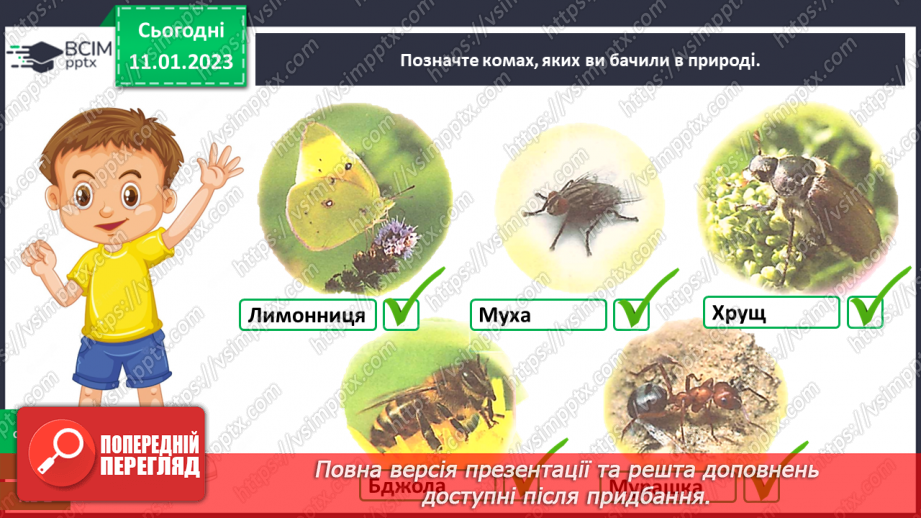 №0055 - Комахи10 №0055 - Комахи10