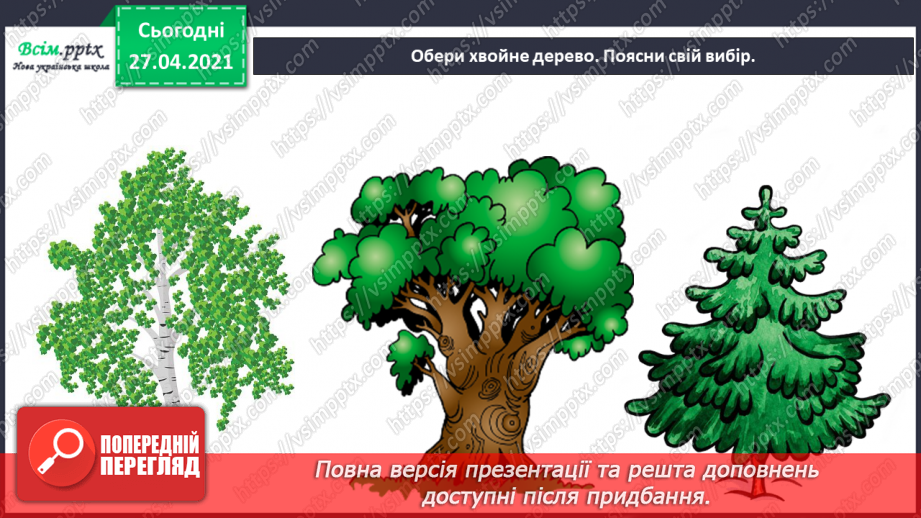 №011 - 012 - Якими бувають рослини? Як розрізняють рослини? Проводимо дослідження. Які умови потрібні рослинам для життя?25