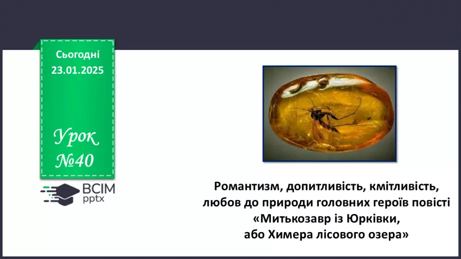 №40 - Романтизм, допитливість, кмітливість, любов до природи головних героїв повісті «Митькозавр із Юрківки, або Химера лісового озера»0