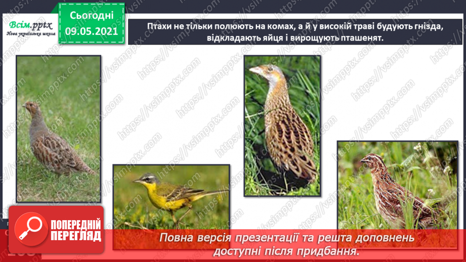 №074-75 - Які тварини живуть на луках, у степах і водоймах?14