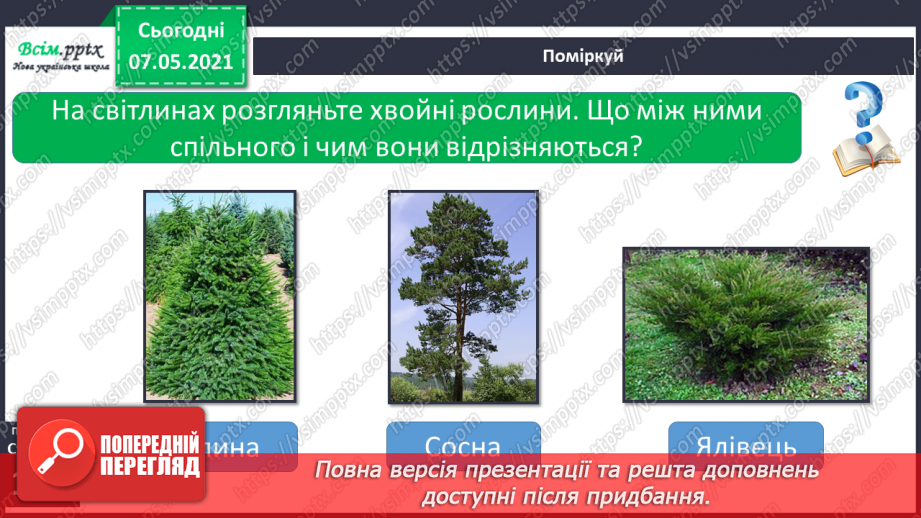 №036 - Які бувають рослини11 №036 - Які бувають рослини11