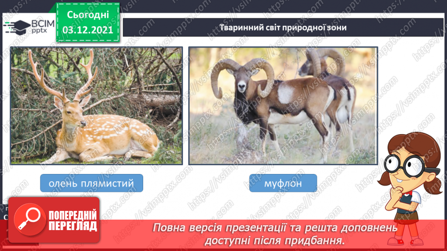 №043 - Подорож Кримськими горами10 №043 - Подорож Кримськими горами10
