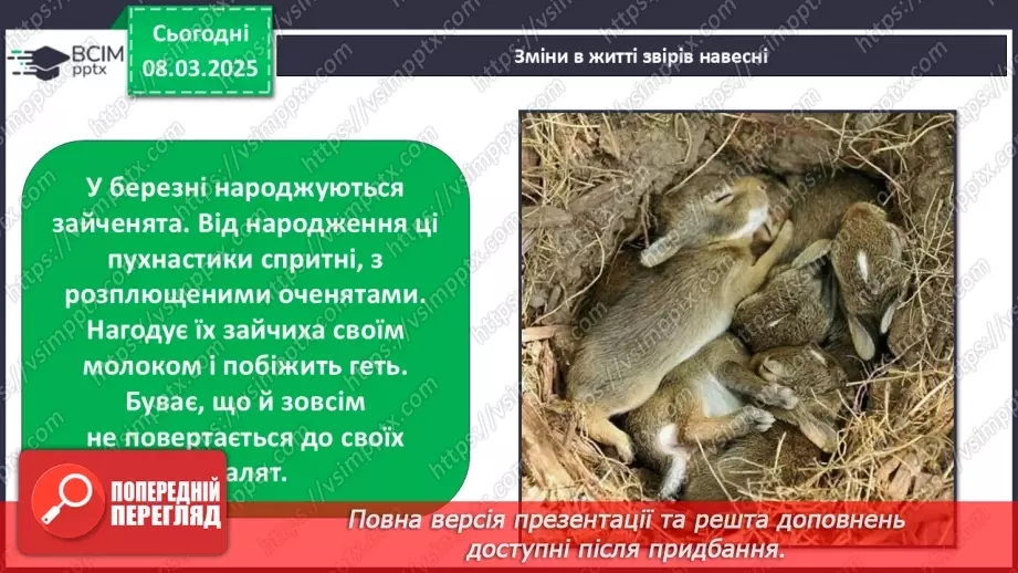№0078 - Які зміни в житті звірів навесні12 №0078 - Які зміни в житті звірів навесні12