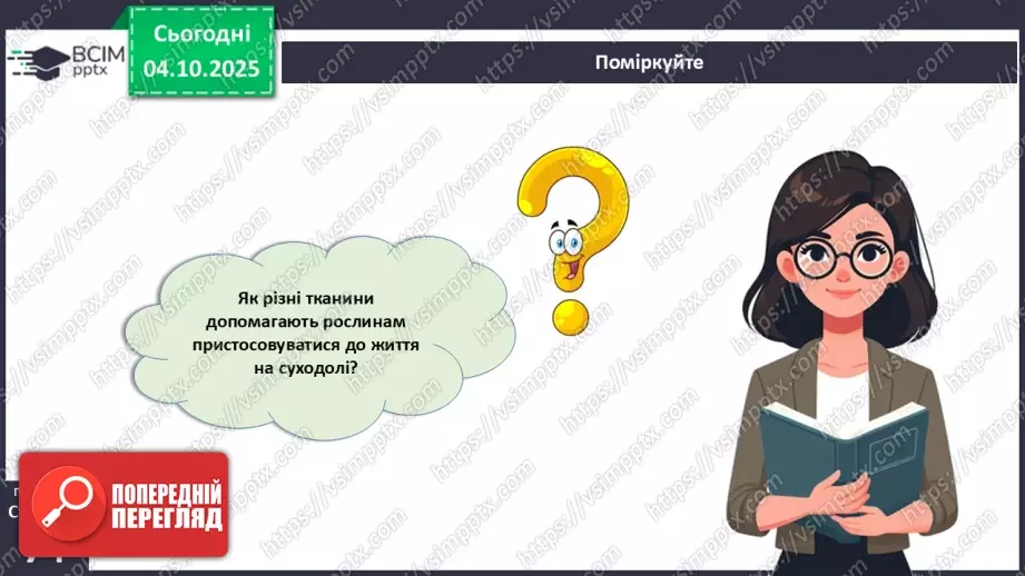 №021 - Покритонасінні рослини: тканини та будова кореня28 №021 - Покритонасінні рослини: тканини та будова кореня28