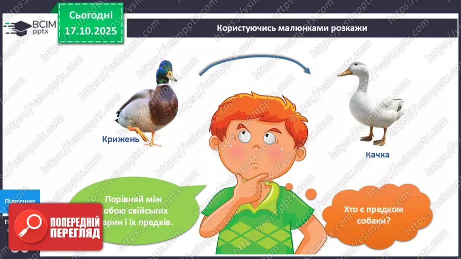 №027 - Дикі та свійські тварини.17 №027 - Дикі та свійські тварини.17