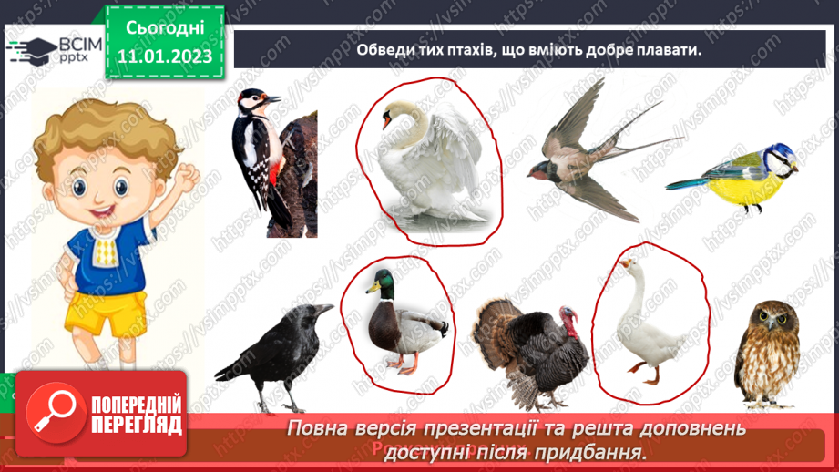 №0057 - Птахи22