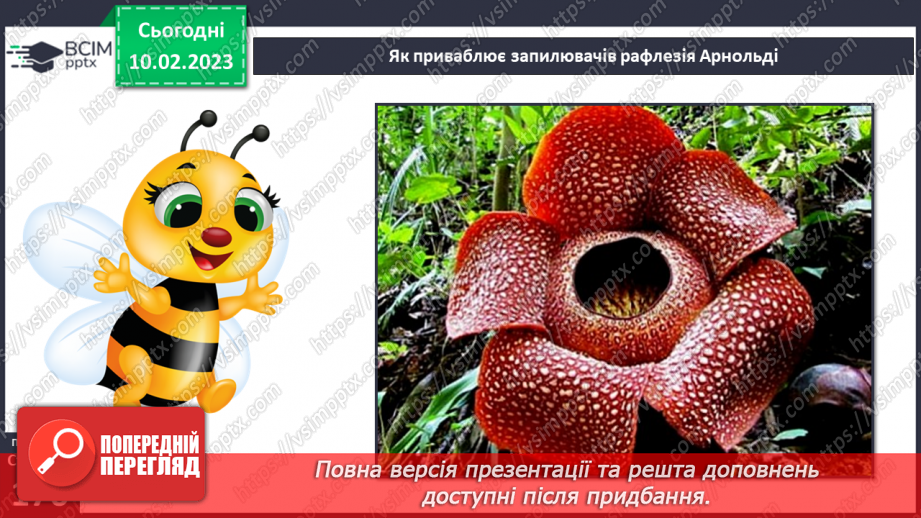 №45 - Пристосування до життя та різноманітність рослин. Секрети насінини.10