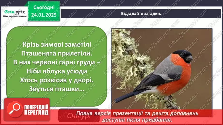 №20 - Карнавал птахів11 №20 - Карнавал птахів11