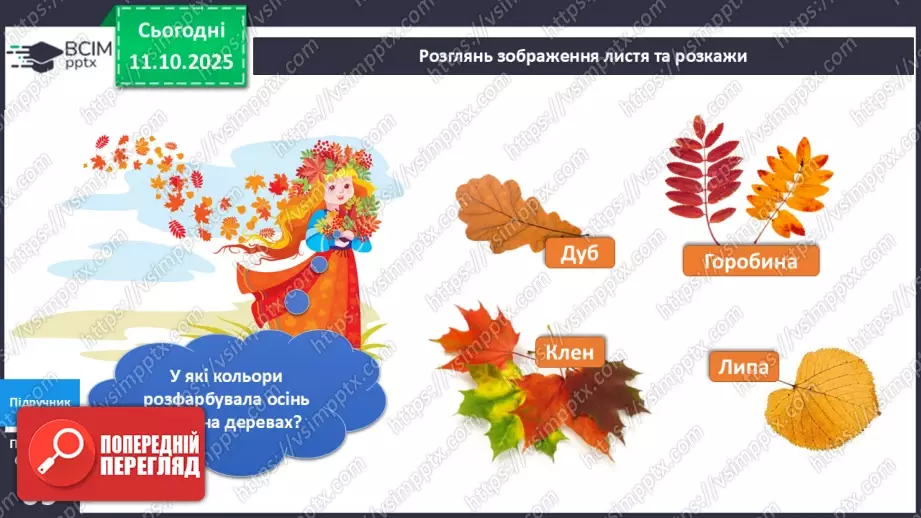 №024 - Рослини восени.12 №024 - Рослини восени.12