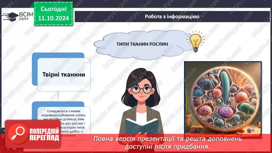 №23 - Тканини і органи рослин.11 №23 - Тканини і органи рослин.11