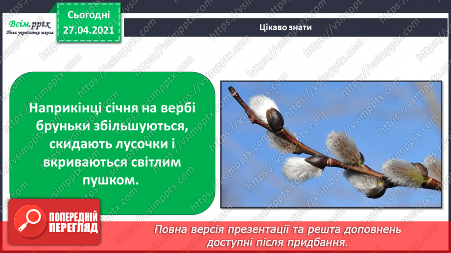 №032 - Як рослини готуються до зими12