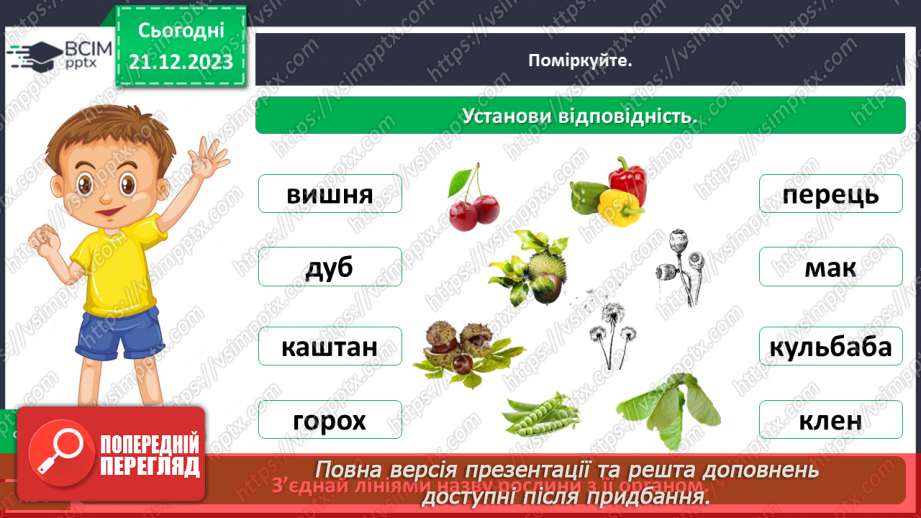 №050 - Яка будова рослин22 №050 - Яка будова рослин22