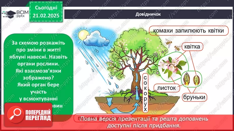 №0071 - Як почуваються рослини навесні8