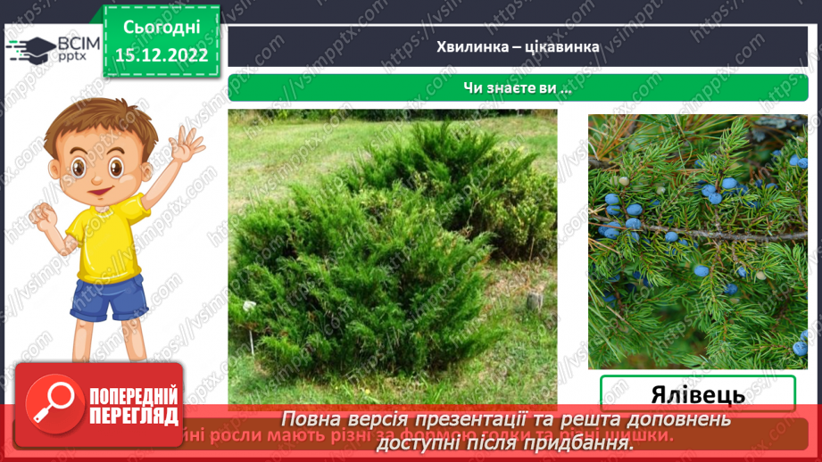 №0052 - Листяні і хвойні рослини18 №0052 - Листяні і хвойні рослини18