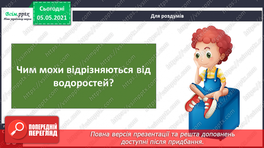 №033 - Мохи.28 №033 - Мохи.28