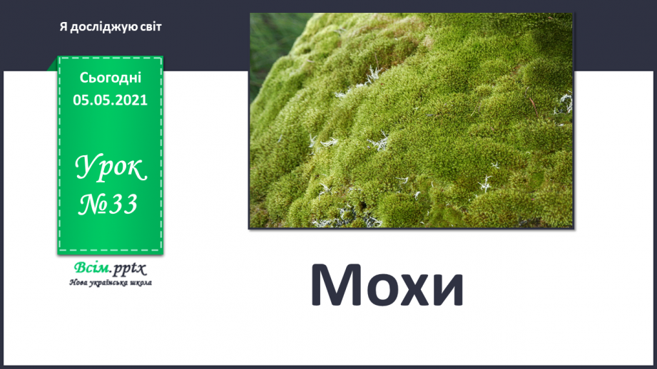 №033 - Мохи.0 №033 - Мохи.0