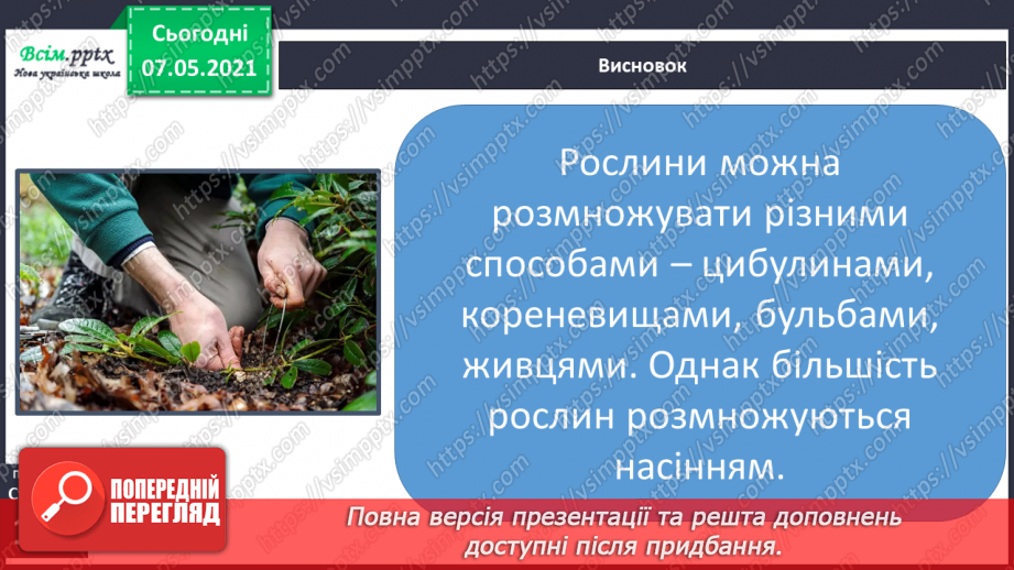 №039 - Як виростити нову рослину без насіння16 №039 - Як виростити нову рослину без насіння16