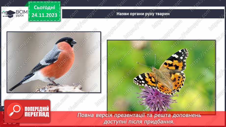 №28 - Чи можливе життя без руху. Різноманітність рухів рослин. Види руху тварин.20
