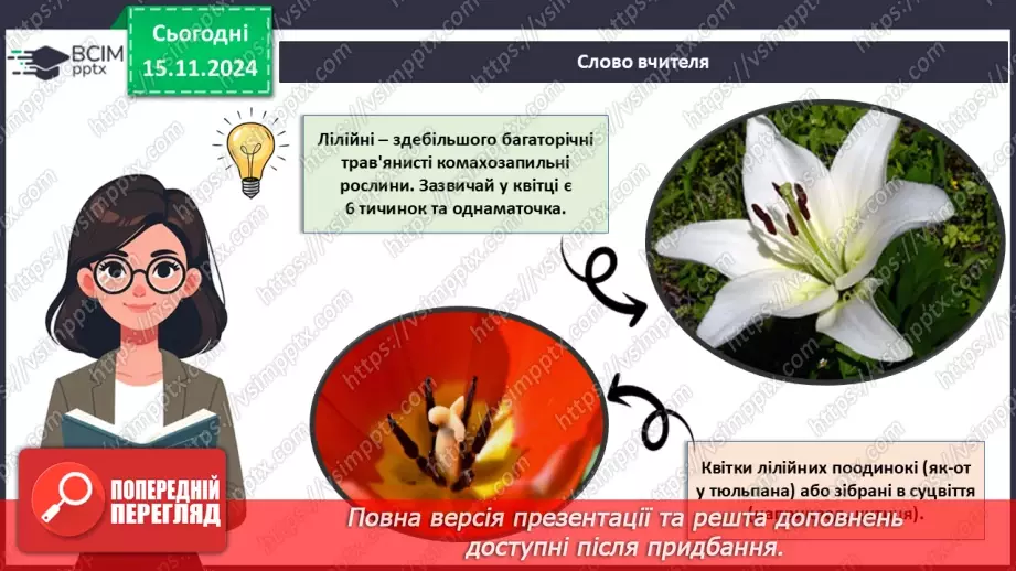 №36 - Квіткові. Різноманіття квіткових.17 №36 - Квіткові. Різноманіття квіткових.17